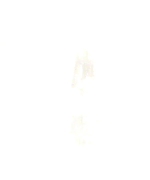 Miss_Dior_-_A_Miss_in_Paris_Episode_1-00_00_09_000.jpeg