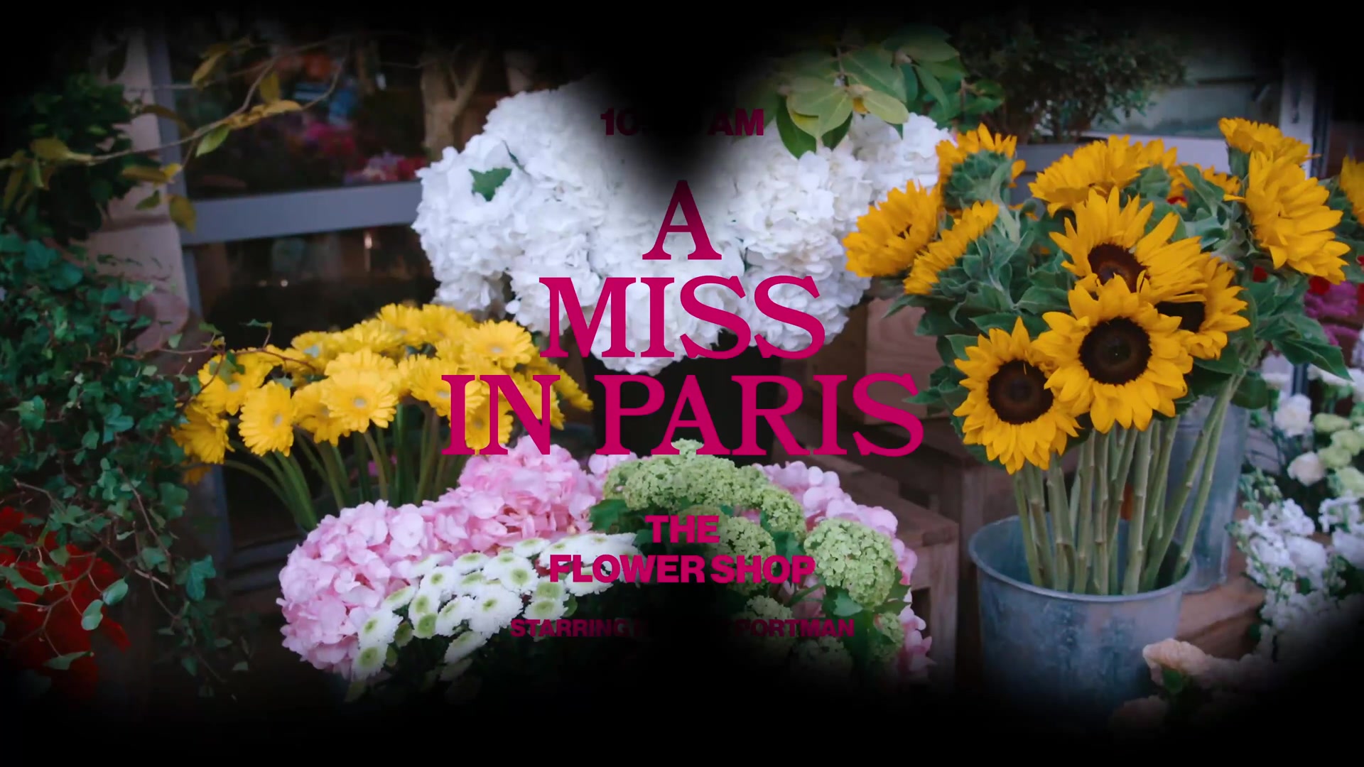 Miss_Dior_-_A_Miss_in_Paris_Episode_2-00_00_01_640.jpeg