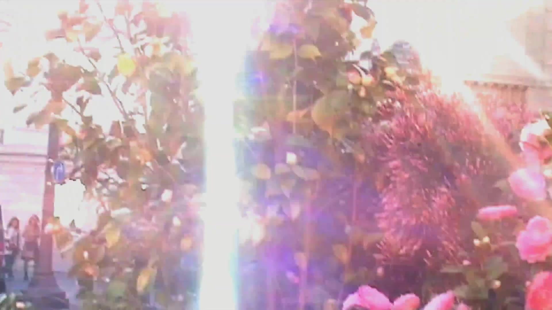 Miss_Dior_-_A_Miss_in_Paris_Episode_2-00_00_15_800.jpeg