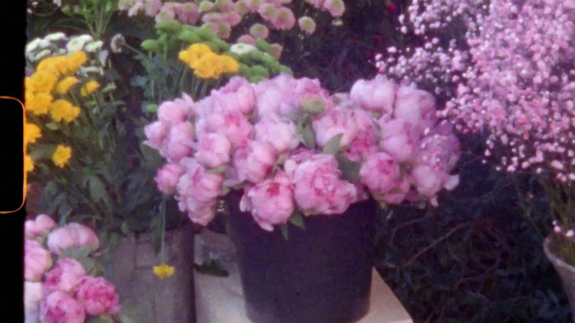 Miss_Dior_-_A_Miss_in_Paris_Episode_2-00_00_17_880.jpeg