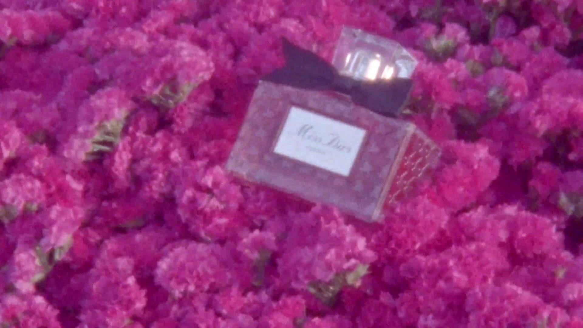 Miss_Dior_-_A_Miss_in_Paris_Episode_2-00_00_18_520.jpeg