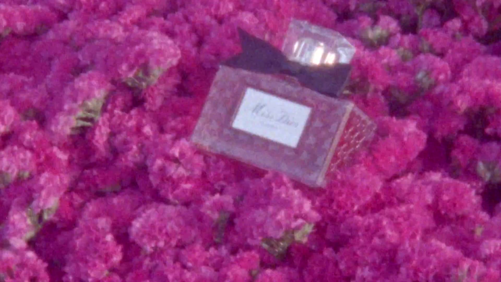 Miss_Dior_-_A_Miss_in_Paris_Episode_2-00_00_18_760.jpeg