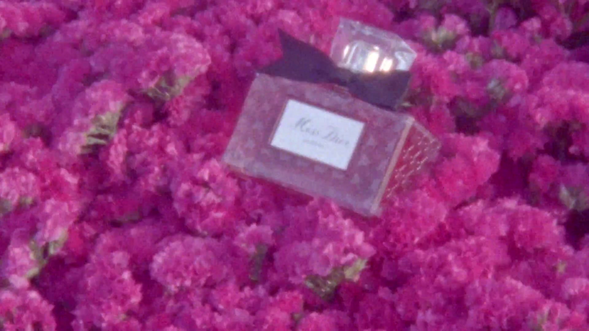 Miss_Dior_-_A_Miss_in_Paris_Episode_2-00_00_18_840.jpeg