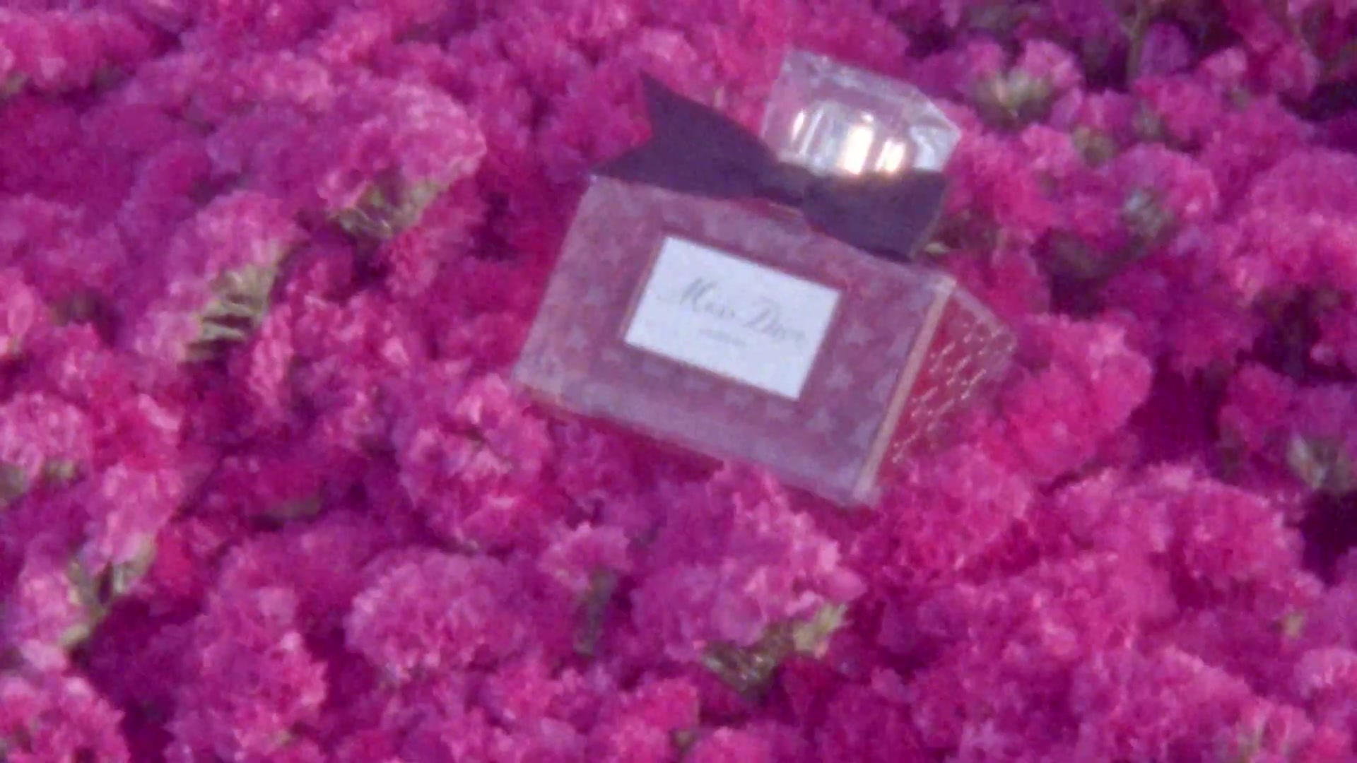 Miss_Dior_-_A_Miss_in_Paris_Episode_2-00_00_18_920.jpeg