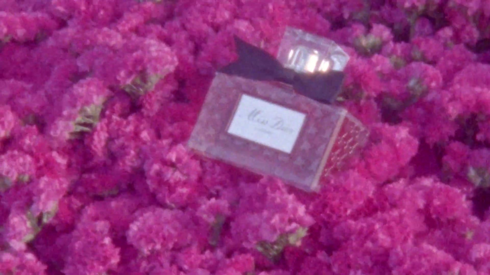 Miss_Dior_-_A_Miss_in_Paris_Episode_2-00_00_19_080.jpeg
