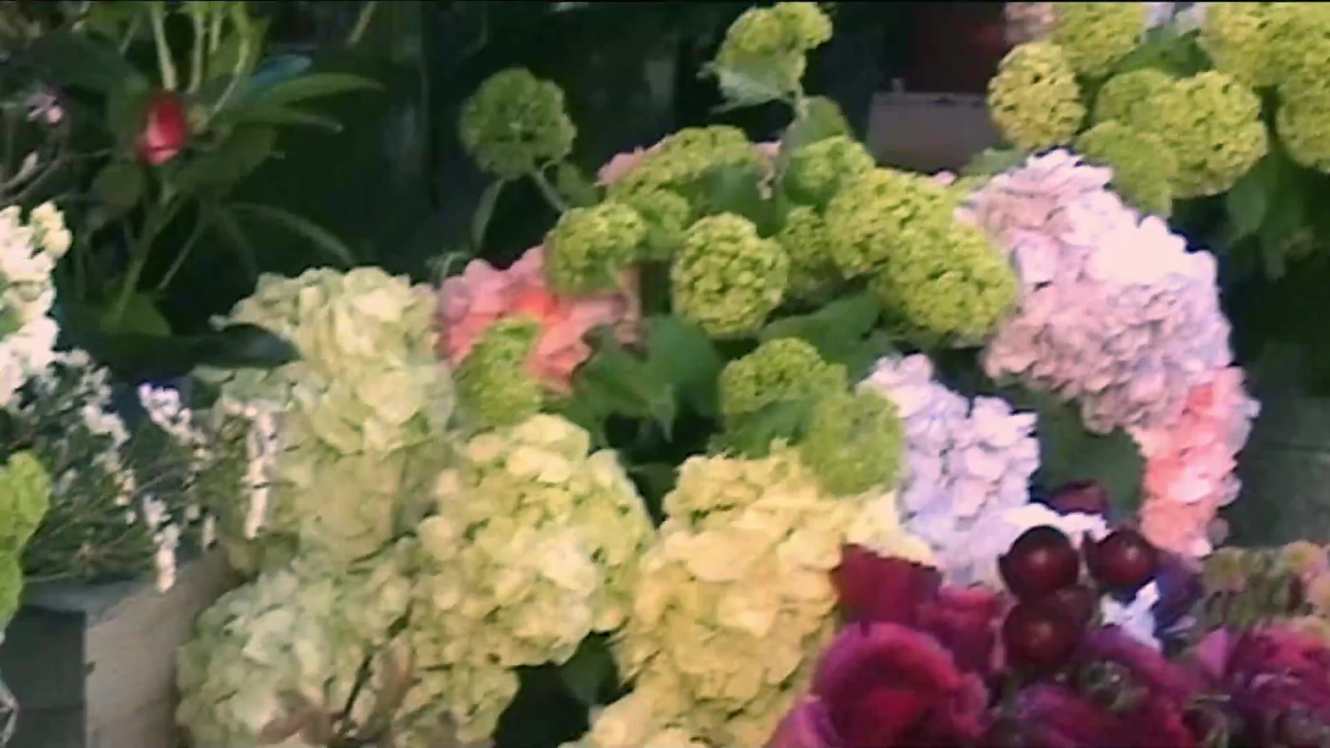 Miss_Dior_-_A_Miss_in_Paris_Episode_2-00_00_33_640.jpeg