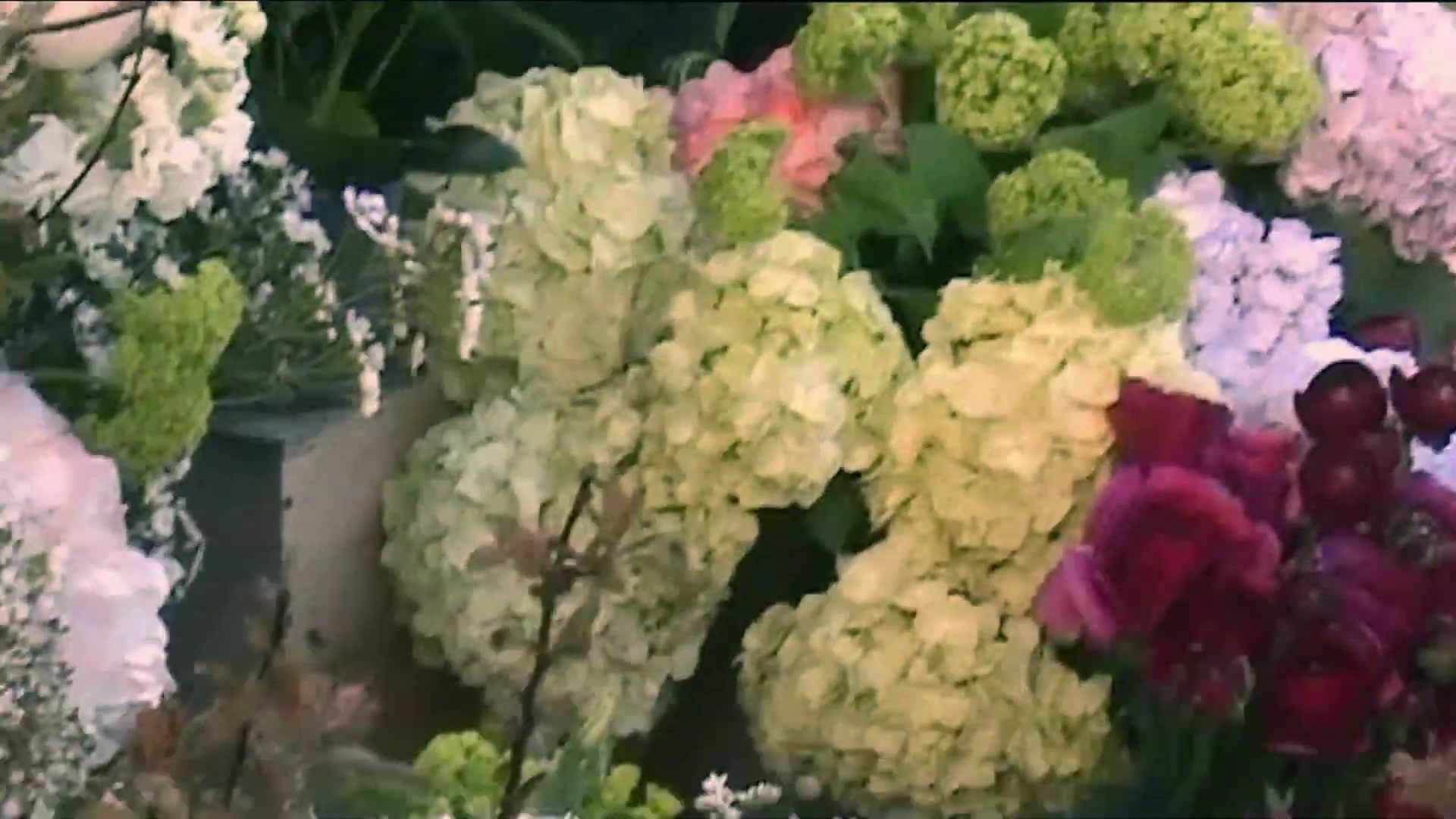 Miss_Dior_-_A_Miss_in_Paris_Episode_2-00_00_34_040.jpeg