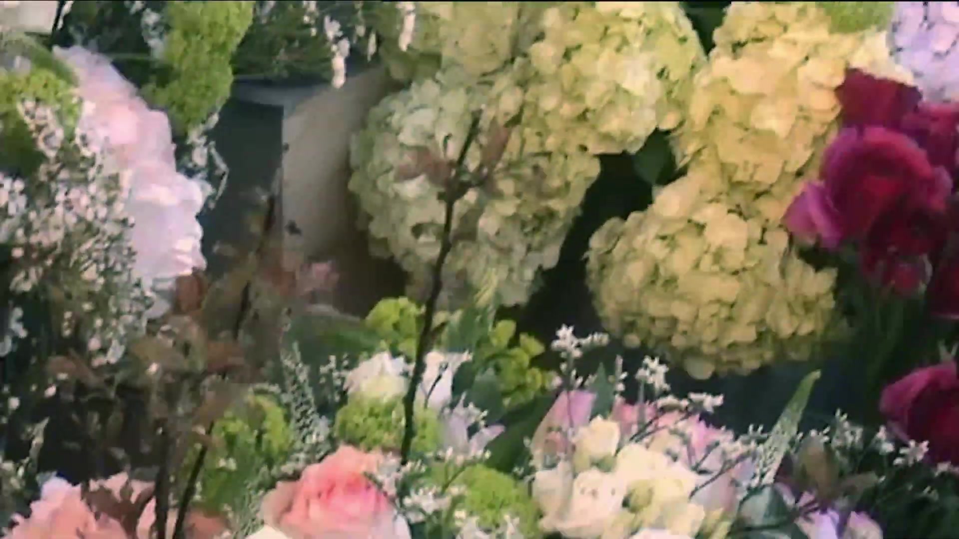 Miss_Dior_-_A_Miss_in_Paris_Episode_2-00_00_34_520.jpeg