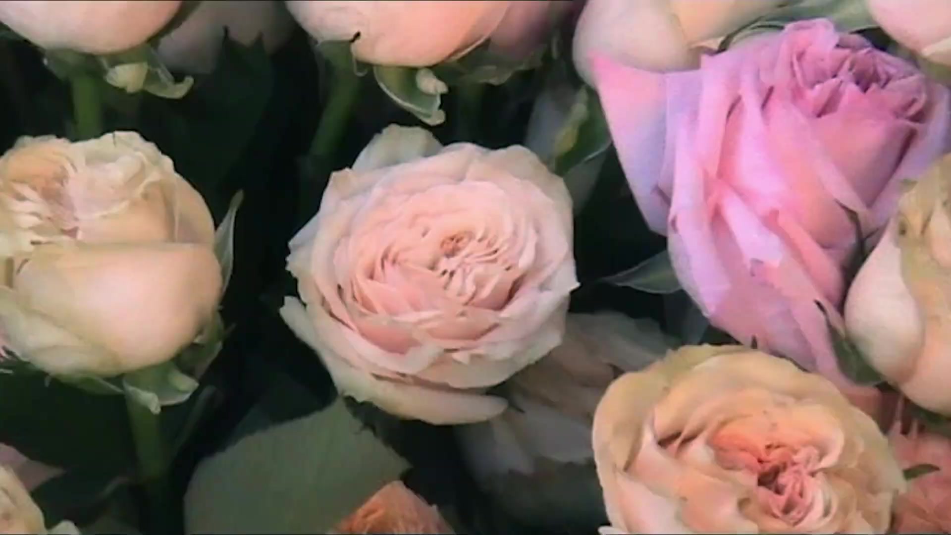 Miss_Dior_-_A_Miss_in_Paris_Episode_2-00_00_37_320.jpeg Miss_Dior_-_A_Miss_in_Paris_Episode_2-00_00_37_320.jpeg