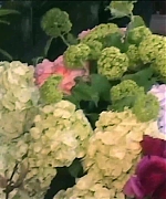 Miss_Dior_-_A_Miss_in_Paris_Episode_2-00_00_33_720.jpeg
