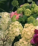 Miss_Dior_-_A_Miss_in_Paris_Episode_2-00_00_33_800.jpeg