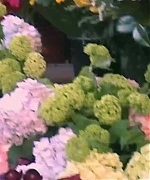 Miss_Dior_-_A_Miss_in_Paris_Episode_2-00_00_36_600.jpeg