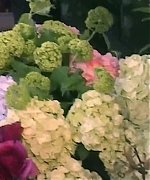 Miss_Dior_-_A_Miss_in_Paris_Episode_2-00_00_36_920.jpeg