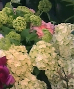 Miss_Dior_-_A_Miss_in_Paris_Episode_2-00_00_37_000.jpeg