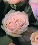 Miss_Dior_-_A_Miss_in_Paris_Episode_2-00_00_37_480.jpeg