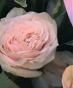 Miss_Dior_-_A_Miss_in_Paris_Episode_2-00_00_37_880.jpeg