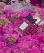 Miss_Dior_-_A_Miss_in_Paris_Episode_2-00_00_39_400.jpeg