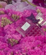 Miss_Dior_-_A_Miss_in_Paris_Episode_2-00_00_39_560.jpeg