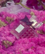 Miss_Dior_-_A_Miss_in_Paris_Episode_2-00_00_39_960.jpeg