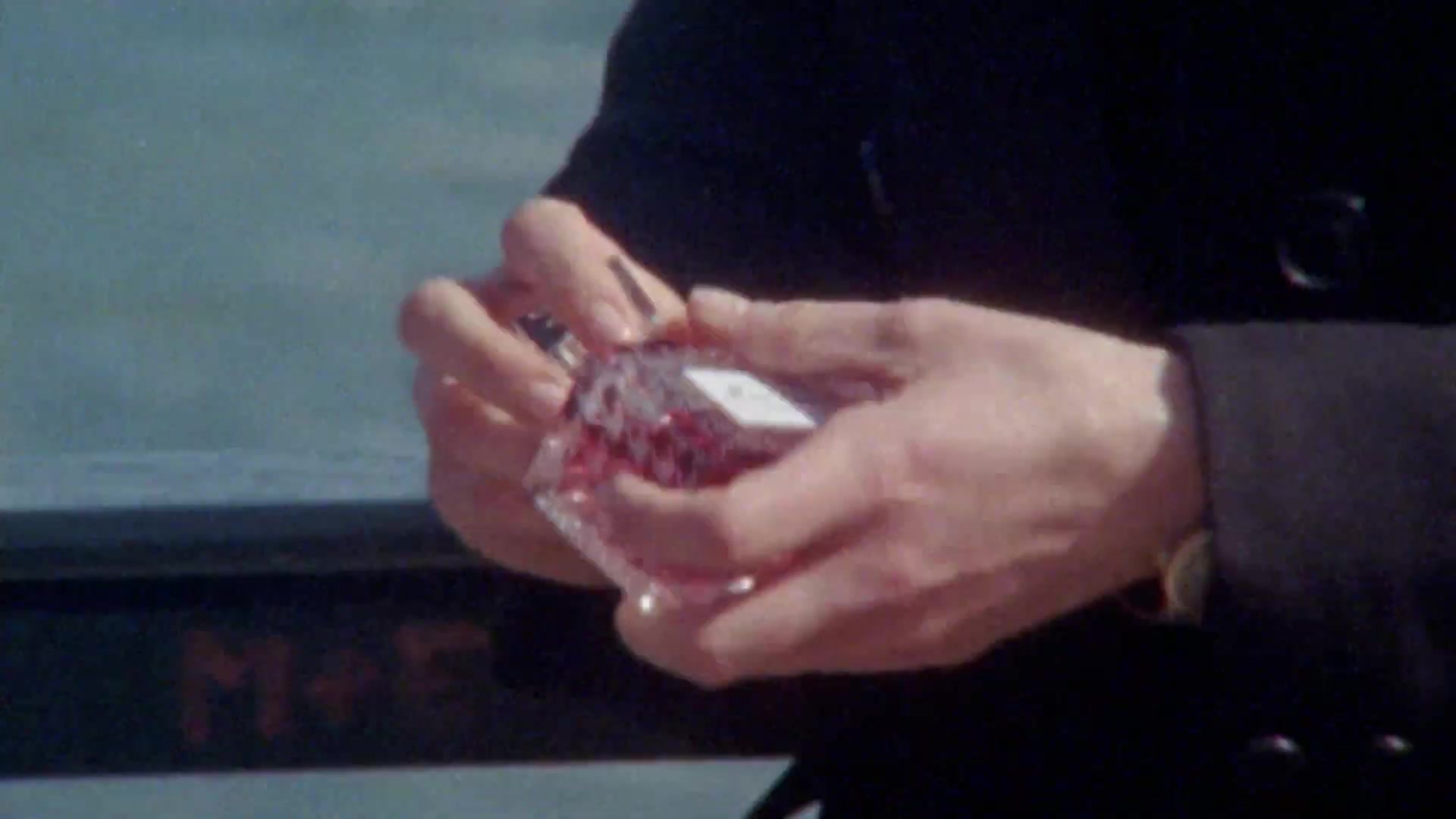 Miss_Dior_-_A_Miss_in_Paris_Episode_3-00_00_39_640.jpeg