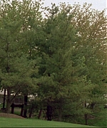 568.jpg