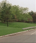 569.jpg