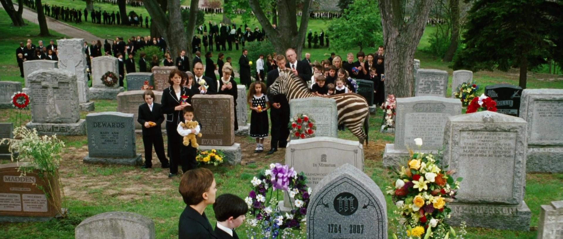 981.jpg