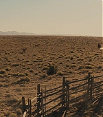 133.jpg