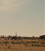 135.jpg