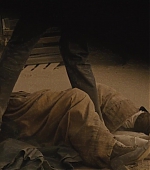 274.jpg