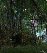 885.jpg